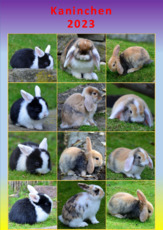 Kaninchen_2023_1.pdf